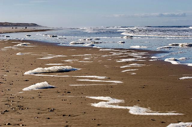 020 Texel.jpg